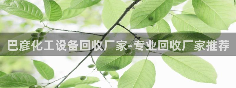美狮贵宾会0923344
