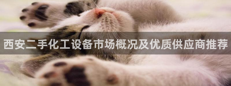 美狮贵宾会中心