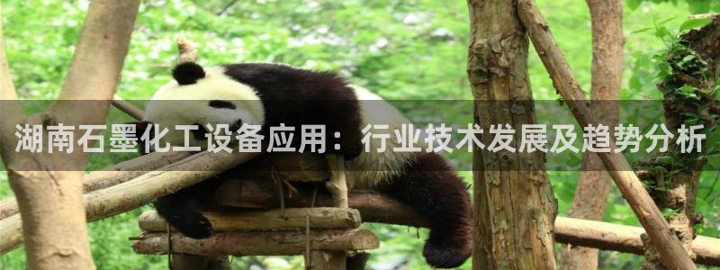 美狮集团有限公司