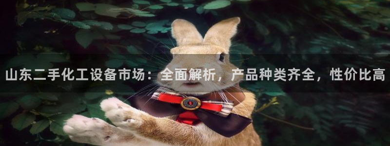 美狮贵宾会是什么东西