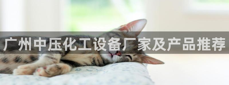 美狮贵宾会开了几年了