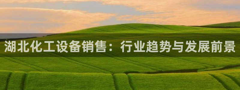 美狮国际控股集团