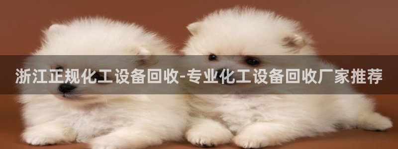 美狮贵宾会合法吗