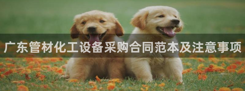 美狮贵宾会0924455