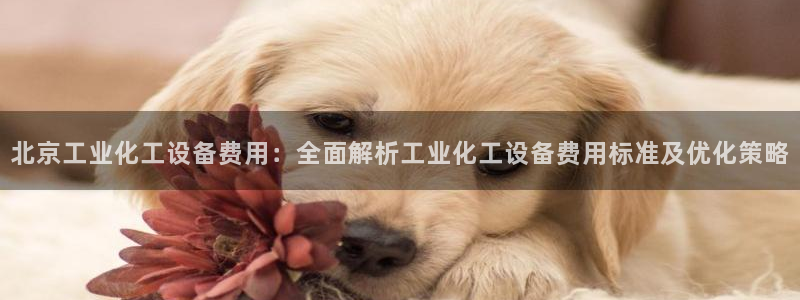 美狮会app