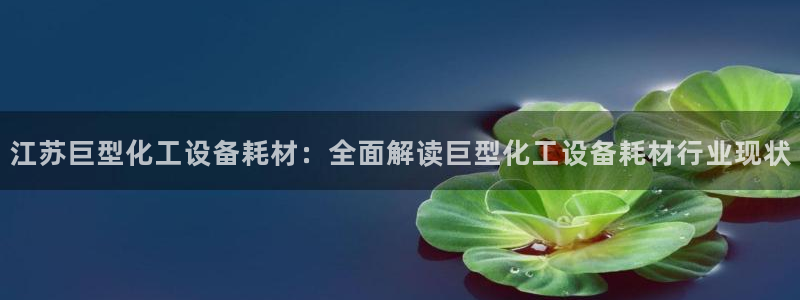 美狮传媒集团有限公司怎么样