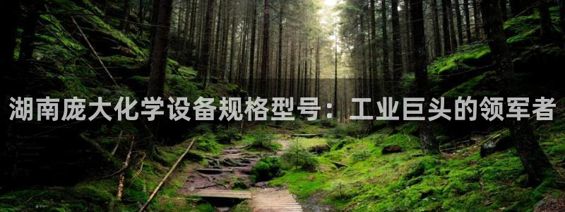 美狮贵宾会会员等级怎么看