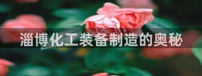 美狮会员卡等级怎么看的