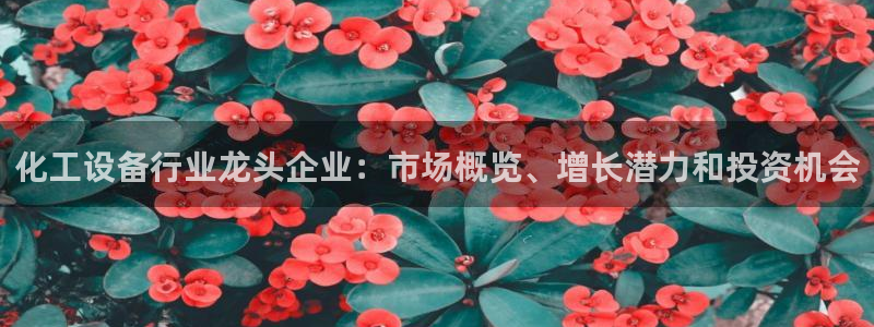 美狮贵宾会0923377
