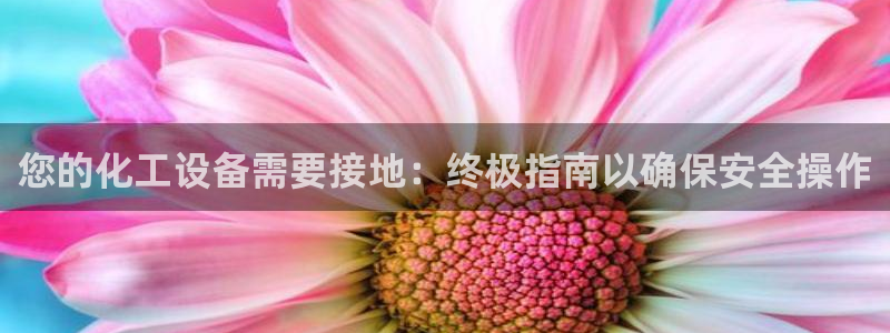 美狮科技有限公司
