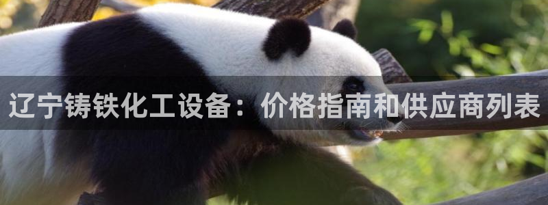 美狮会员卡等级划分表