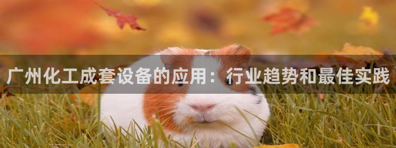 美狮是什么