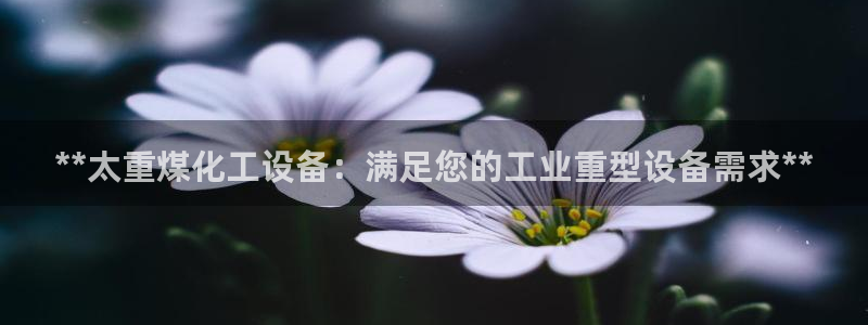 美狮会员卡等级有什么用