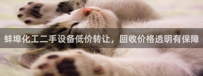 美狮会套利是真的吗