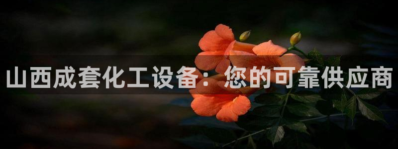 美狮贵宾会0925511