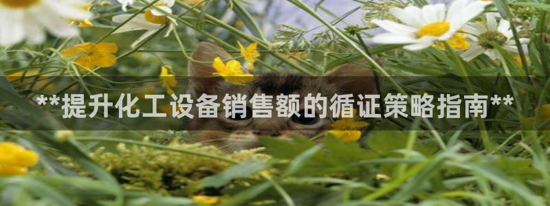 美狮会挂机骗局