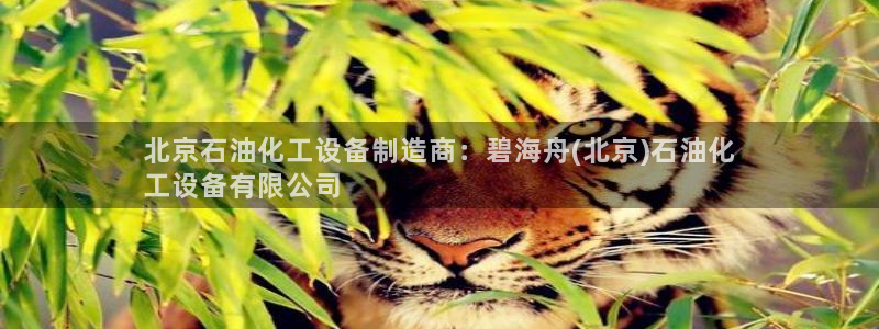 美狮贵宾会官方网下载