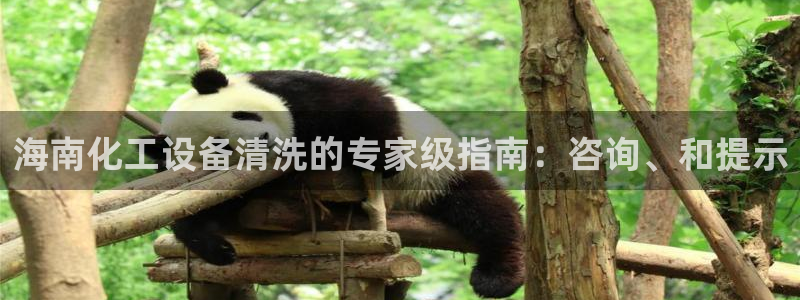 美狮贵宾会开了几年了没有