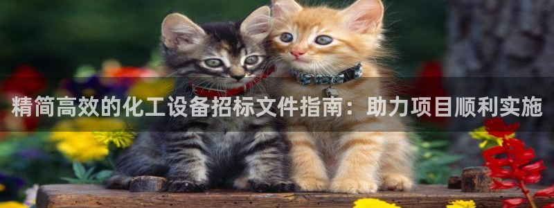 美狮贵宾会网址092app