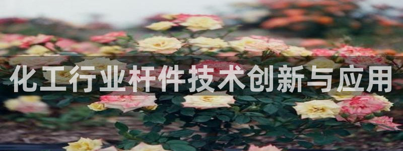美狮外汇合法吗