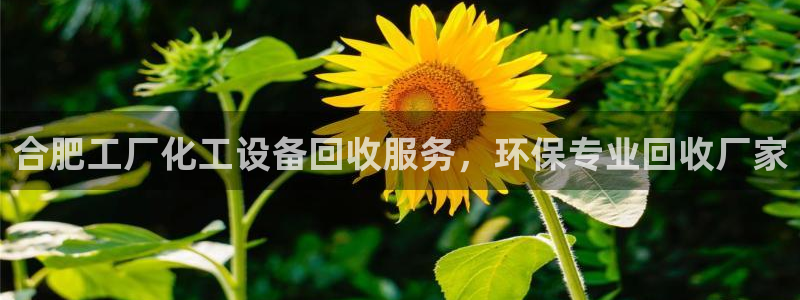 下载美狮会