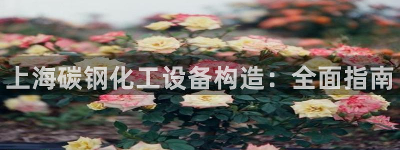 美狮贵宾会怎找不到了