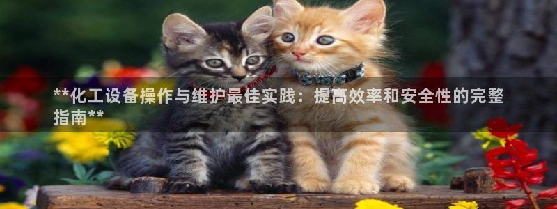 美狮会是正规平台吗是真的吗吗
