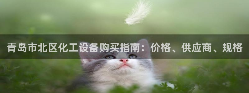 美狮官版2023最新版本下载
