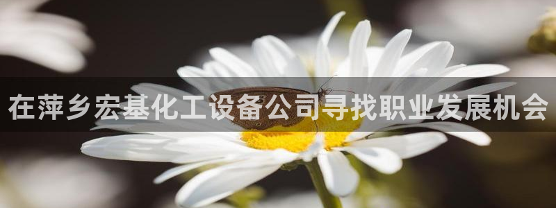 美狮贵宾会怎找不到了