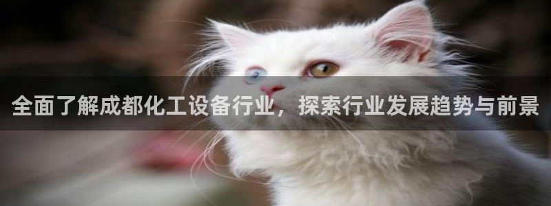 美狮会怎么赚钱